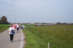 La-Corsa-in-Rosa-2024-DSC03138