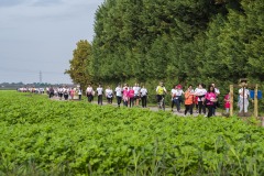 La-Corsa-in-Rosa-2024-DSC03175