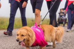 La-Corsa-in-Rosa-2025_084